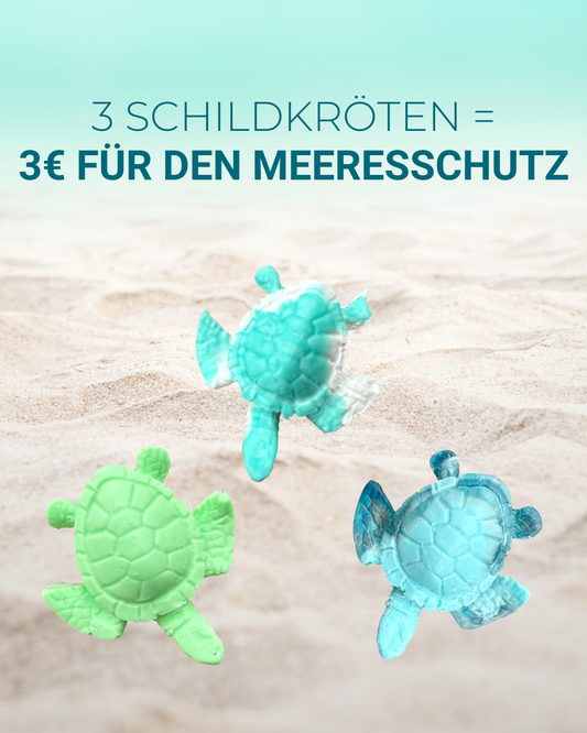 3er Set bunte Mini Schildkröten – handgemacht | Spende an Turtle Foundation