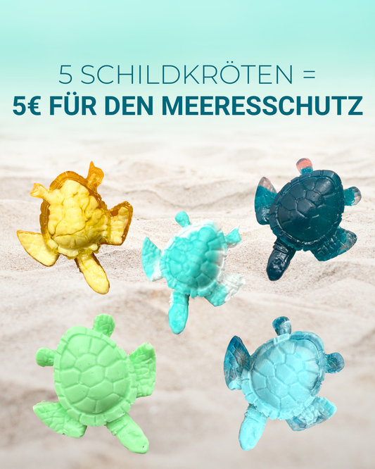 5er Set bunte Mini Schildkröten – handgemacht | Spende an Turtle Foundation